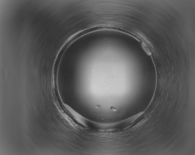 X0000084010940200702232200