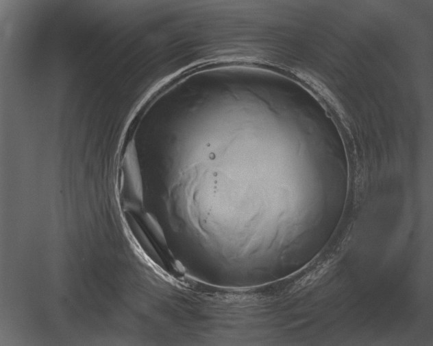 X0000084010941200702232200