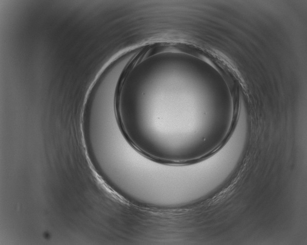 X0000084010942200702232200