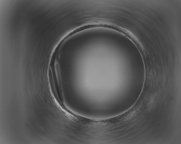 X0000084010943200702232200