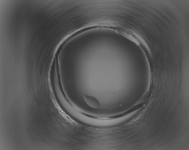 X0000084010944200702232200