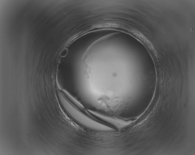 X0000084010945200702232200