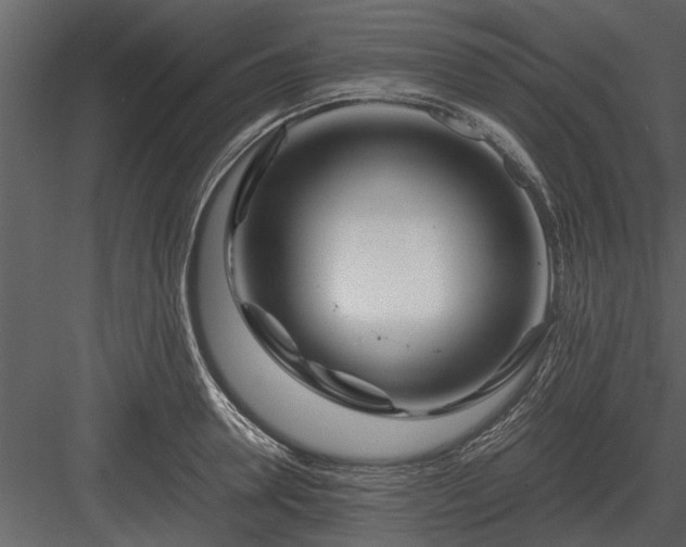 X0000084010946200702232200