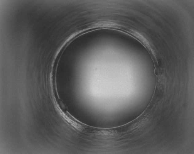 X0000084010947200702232200