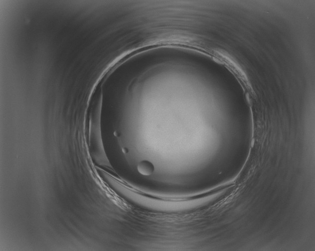 X0000084010948200702232201