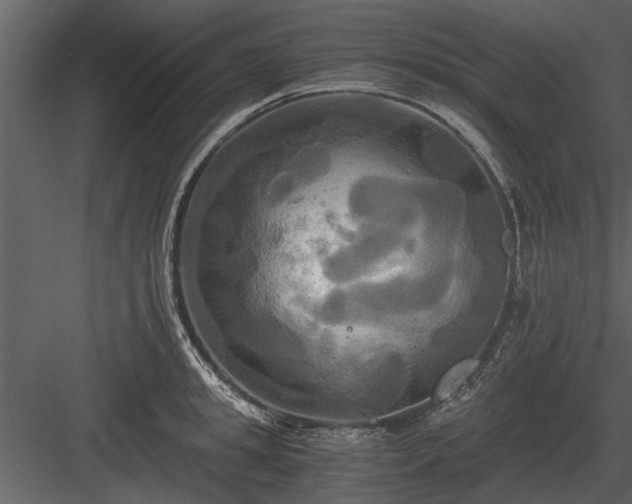 X0000084010949200702232201