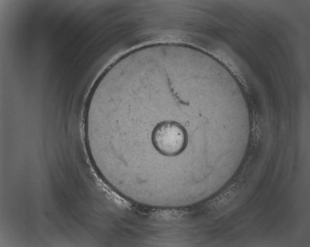 X0000084010950200702232201