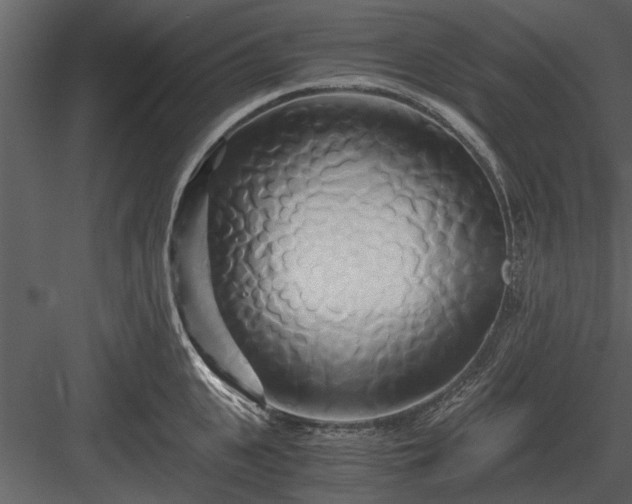 X0000084010951200702232201