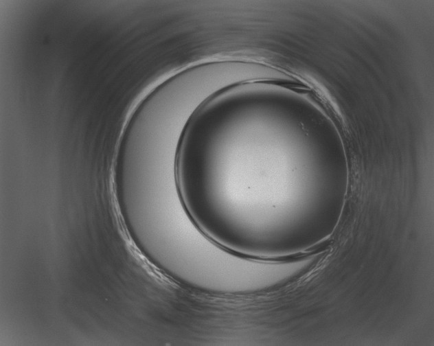 X0000084010952200702232201