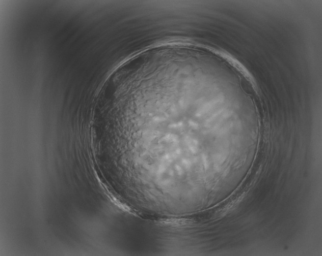 X0000084010953200702232201