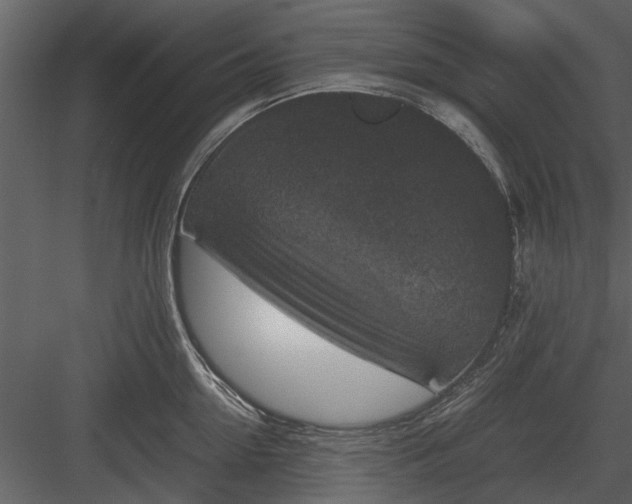 X0000084010954200702232201