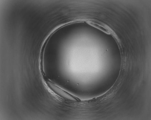 X0000084010955200702232201