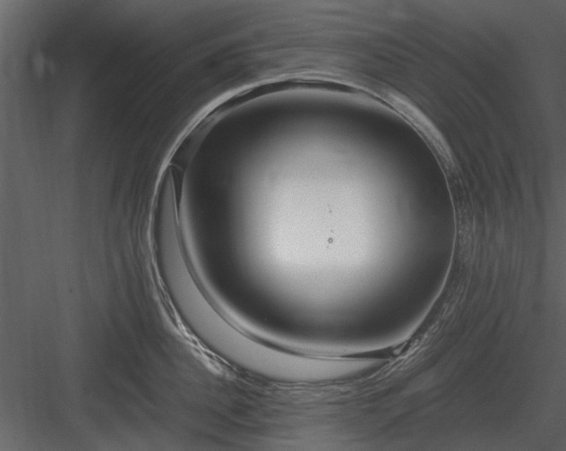 X0000084010956200702232201