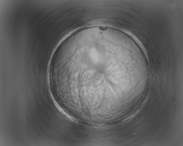 X0000084010957200702232201