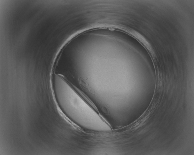 X0000084010958200702232201