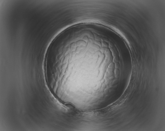 X0000084010959200702232201