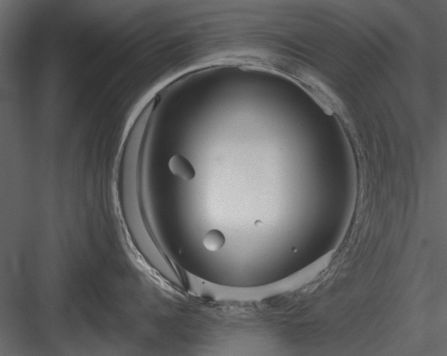 X0000084010960200702232201