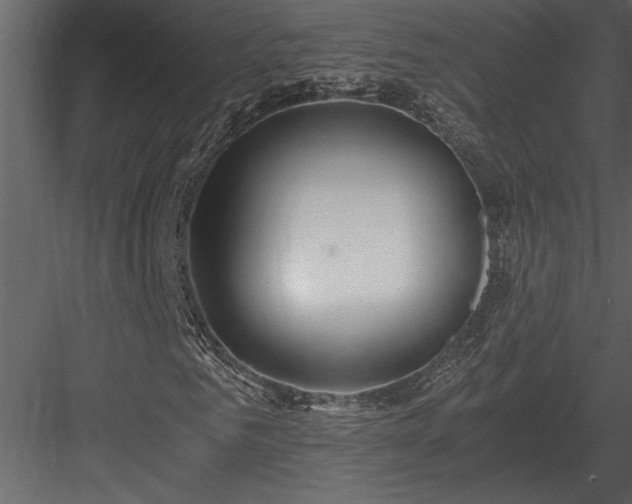 X0000084010961200702232200