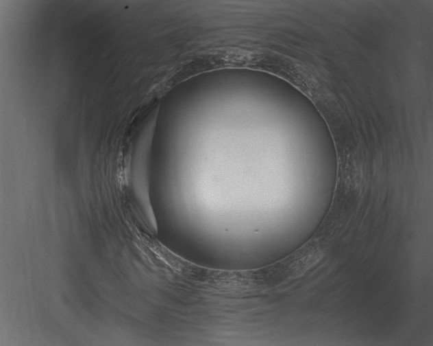 X0000084010962200702232200