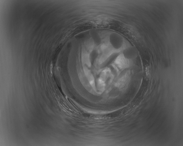 X0000084010963200702232200