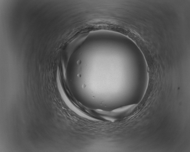 X0000084010965200702232200