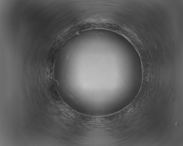 X0000084010966200702232200