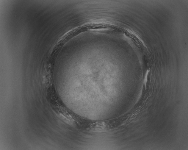 X0000084010968200702232200