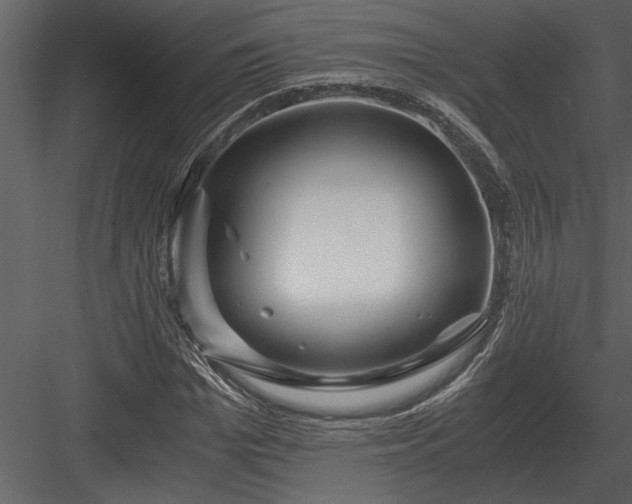 X0000084010969200702232200