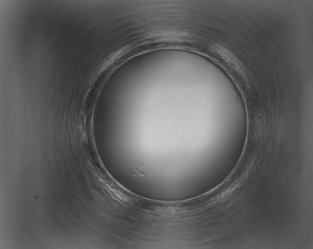 X0000084010970200702232200