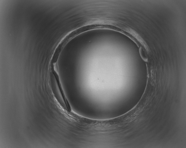 X0000084010972200702232200