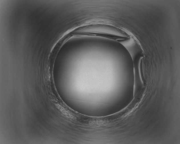 X0000084010973200702232200