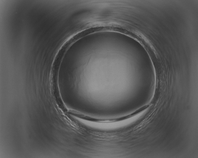 X0000084010975200702232200