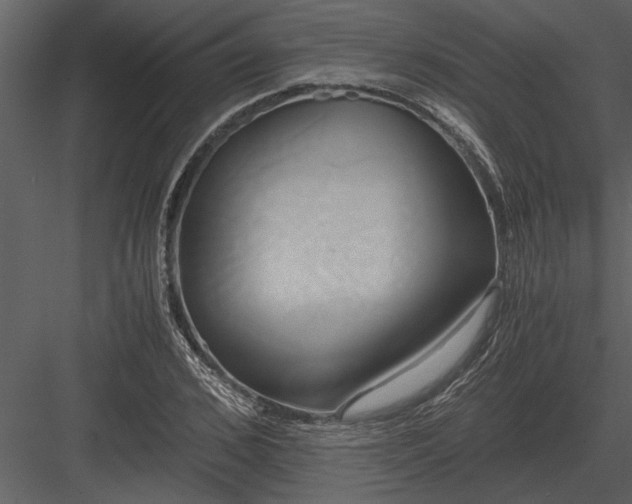 X0000084010976200702232200