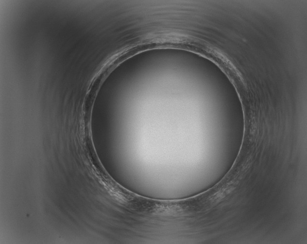 X0000084010978200702232200