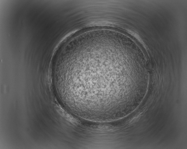 X0000084010979200702232200