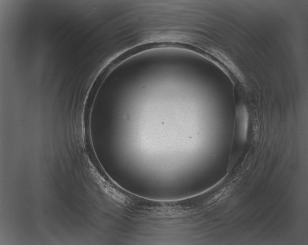 X0000084010980200702232200