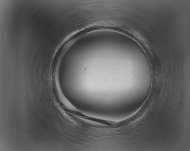 X0000084010981200702232159