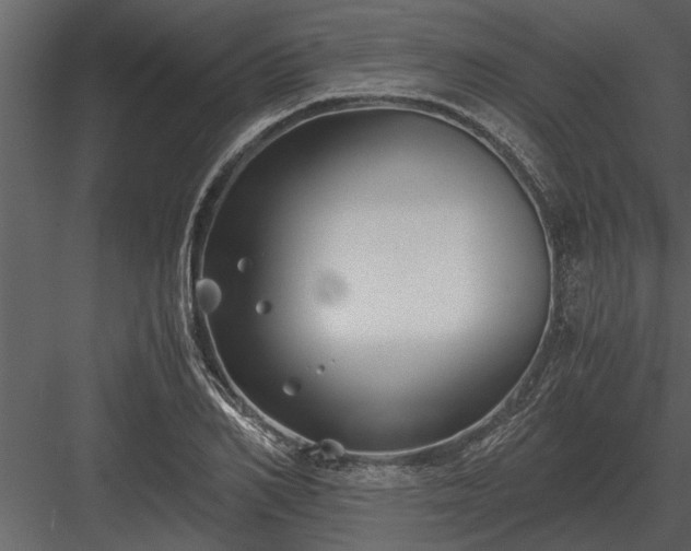 X0000084010982200702232159