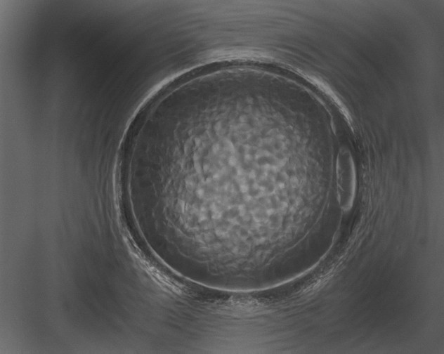 X0000084010983200702232159