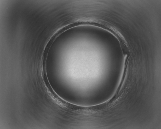 X0000084010984200702232159