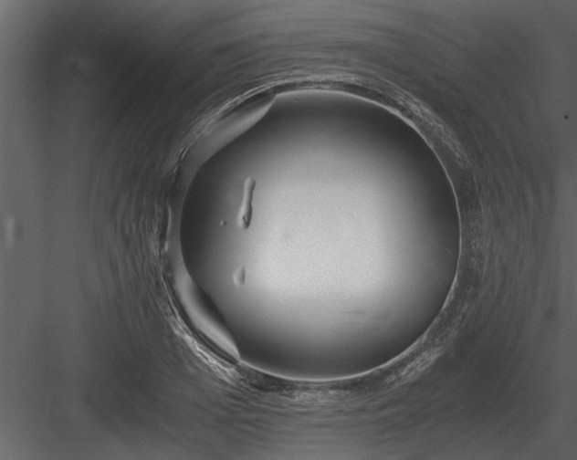 X0000084010985200702232159