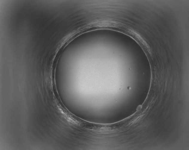 X0000084010986200702232159