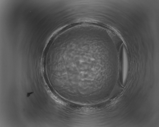 X0000084010987200702232159