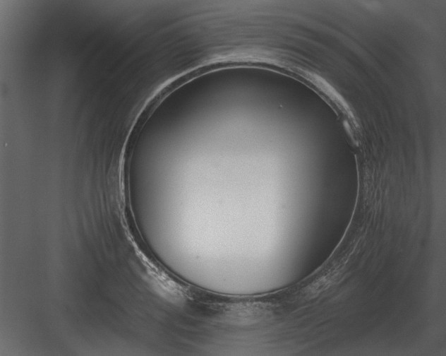 X0000084010988200702232159