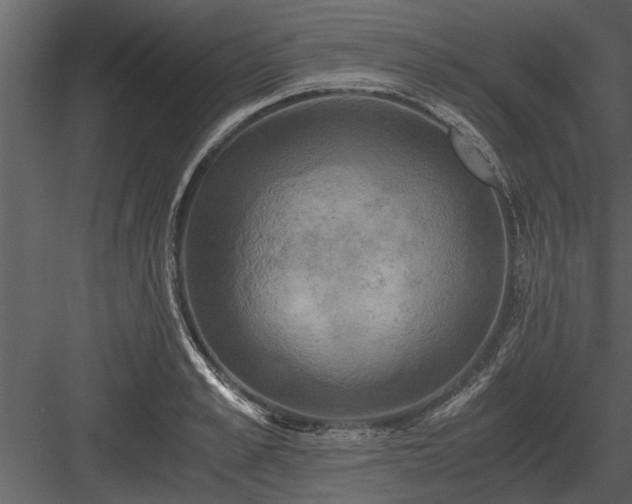 X0000084010989200702232159