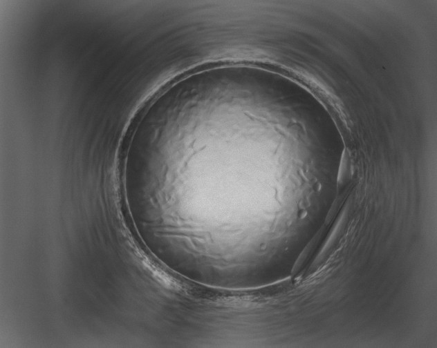 X0000084010990200702232159