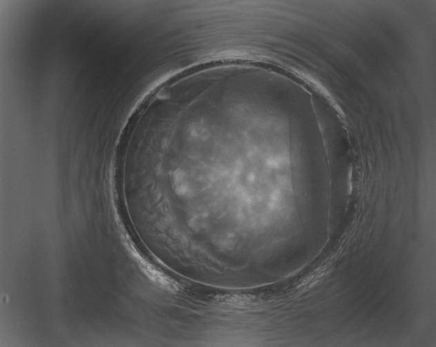 X0000084010991200702232159