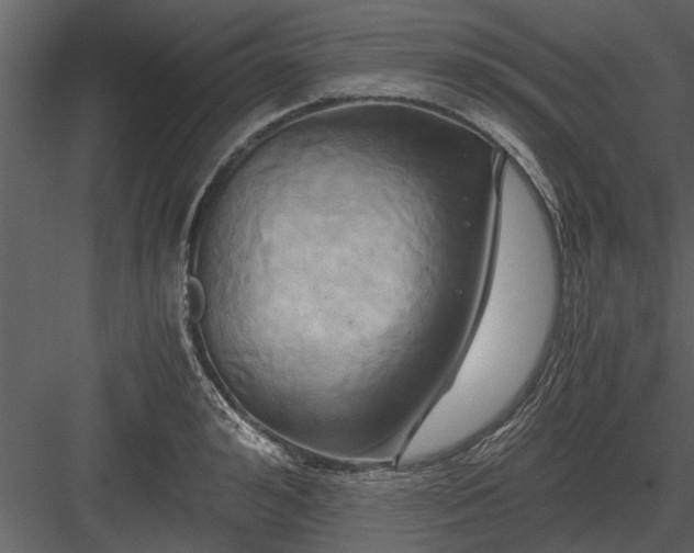 X0000084010992200702232159