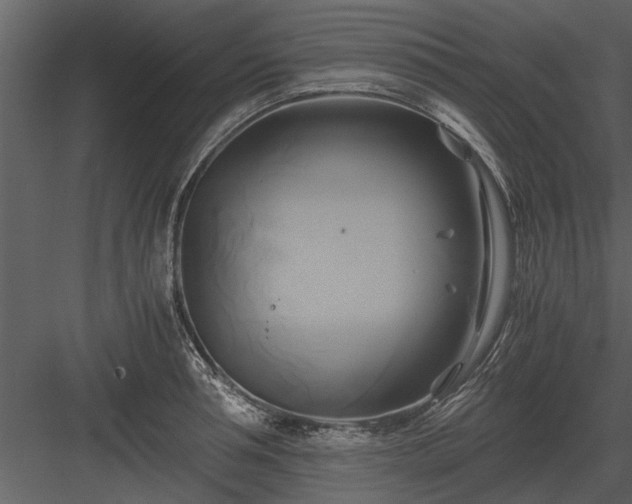 X0000084010994200702232159