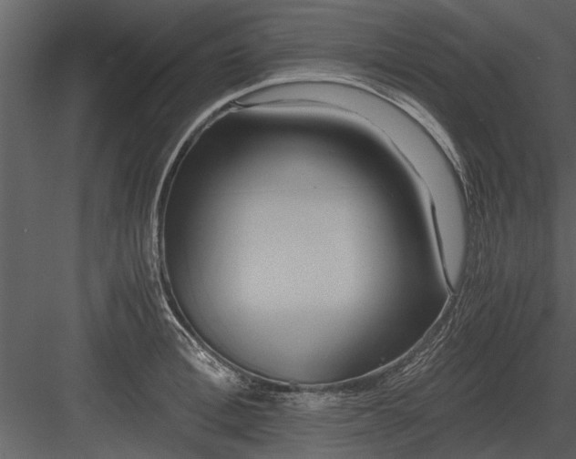 X0000084010996200702232159